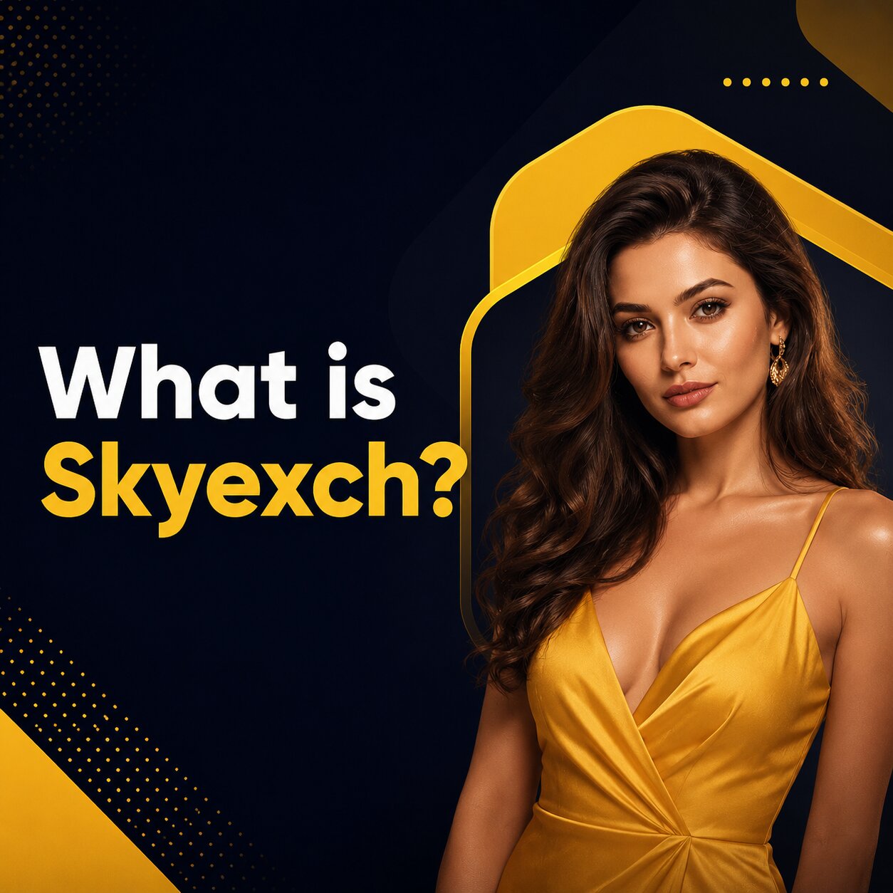 Skyexch mobile betting dashboard preview